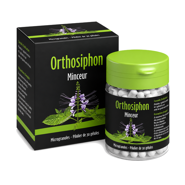 Orthosiphon