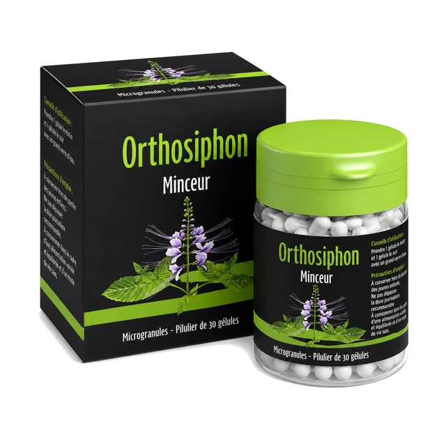 Orthosiphon